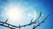 Abnormal heat in Kazakhstan: Temperatures expected to reach +30°C on April 2