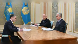 Tokayev received new Minister of Industry and gave instructions