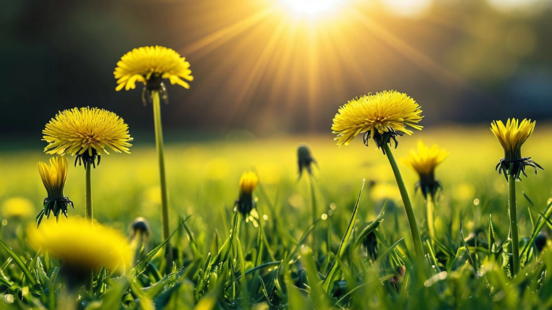 ©️ Depositphotos.com