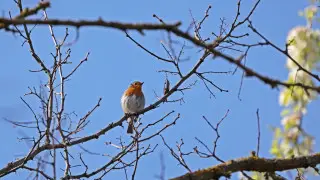 Spring in full swing: Weather forecast for Astana and Almaty for next three days
