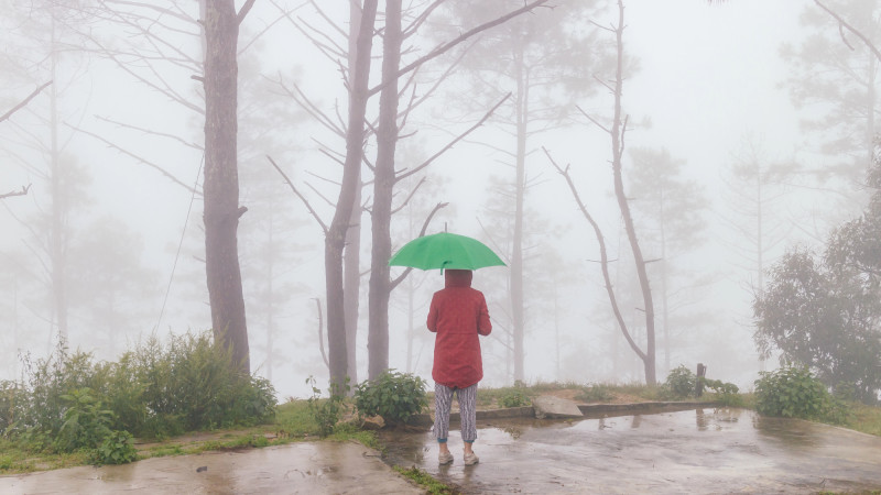 ©️ Depositphotos.com