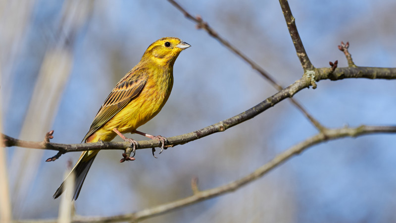 ©️ Depositphotos.com