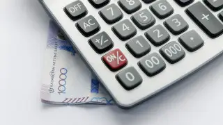 Kazakhstan to reduce the number of taxes