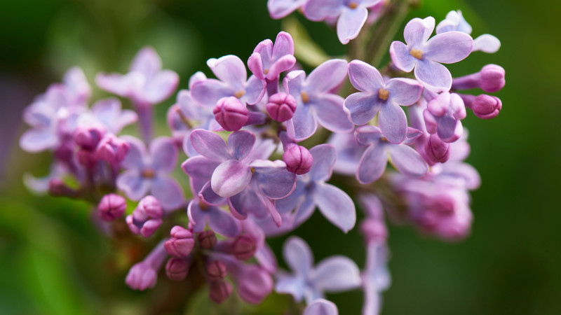 ©️ Depositphotos.com