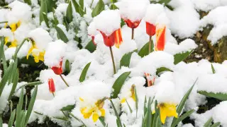 April storms to hit Astana and Almaty