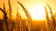 Abnormal heat expected in Kazakhstan as equipment and personnel shortages persist