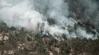 Ecology minister addresses responsibility for early wildfires in Kazakhstan