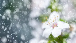 Frost and heat: Kazakhstan’s weather on April 16