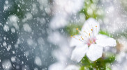 Frost and heat: Kazakhstan’s weather on April 16