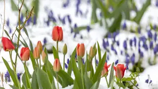 Forecasters warn of cold snap in Kazakhstan