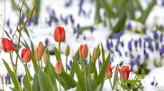 Forecasters warn of cold snap in Kazakhstan