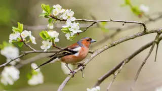 Temperature swing: Weather in Kazakhstan on April 17