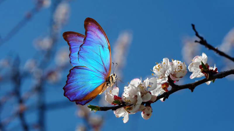 ©️ Depositphotos.com