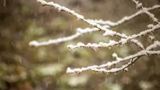 Northwestern cyclone will cover Kazakhstan