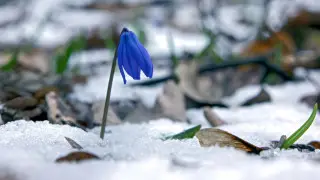 Cold snap alert for Kazakhstan as night frosts loom in several regions