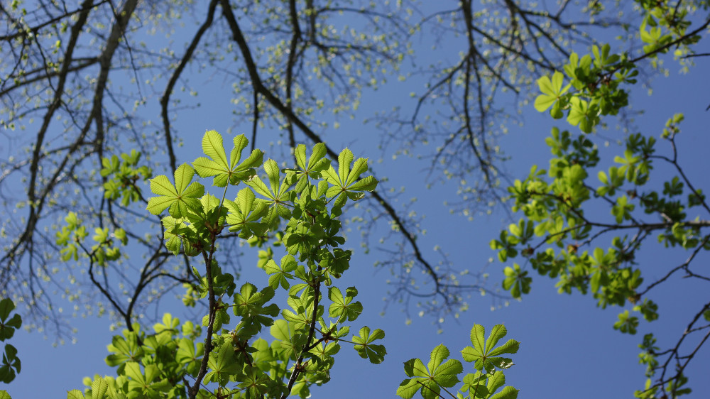 Heat and rain: Kazakhstan’s weather on April 25