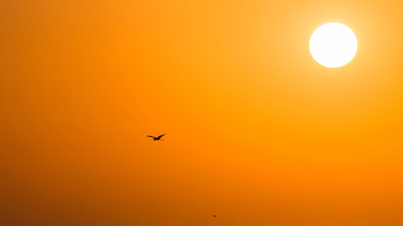 ©️ Depositphotos.com