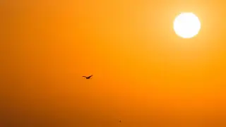 Heat up to 37 degrees is coming to Kazakhstan