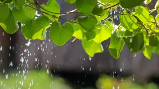 Rain, thunderstorms, and hail: Weather forecast for Kazakhstan on April 28