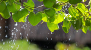 Rain, thunderstorms, and hail: Weather forecast for Kazakhstan on April 28