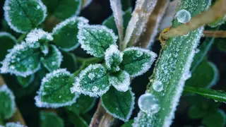 Sudden cold snap is expected in Kazakhstan