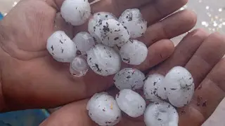 Hail the size of quail eggs hit northern Kazakhstan