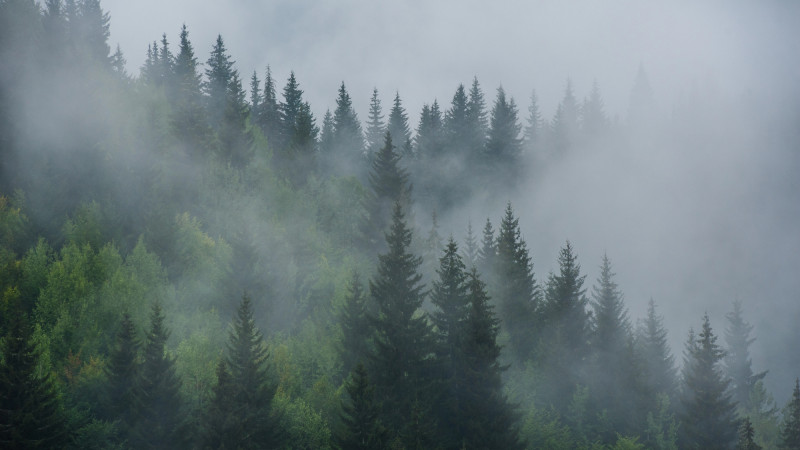 ©️ Depositphotos.com