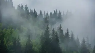 Fog and squally winds: Kazakhstan’s weather on the last day of April