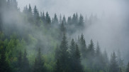 Fog and squally winds: Kazakhstan’s weather on the last day of April
