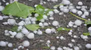 Snow and hail in May: Forecasters warn of cold snap in Kazakhstan
