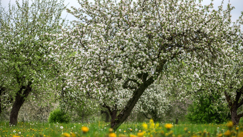 ©️ Depositphotos.com