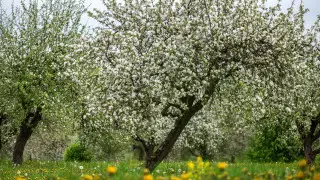 Thunderstorms and frosts: what awaits Almaty and Astana in early May