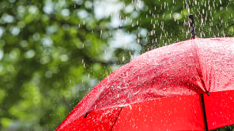 ©️ Depositphotos.com