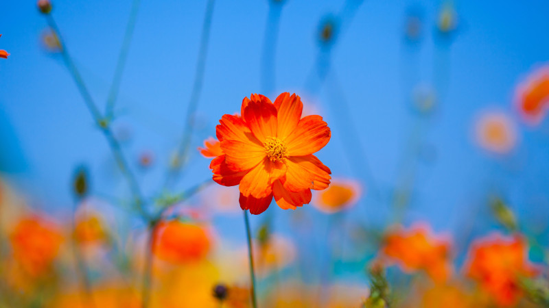 ©️ Depositphotos.com