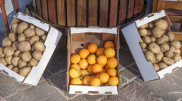 “Potatoes now pricier than oranges?” Ministry explains rising prices in Kazakhstan