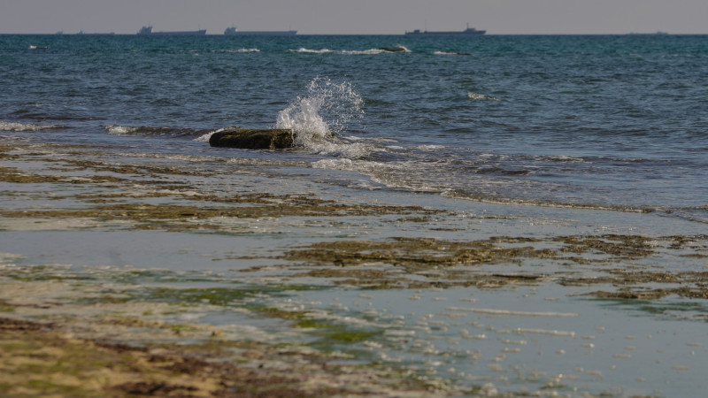 ©️ Turar Kazangapov