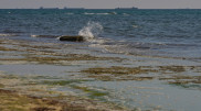 Company proposes underground tunnel linking Caspian and Black Seas