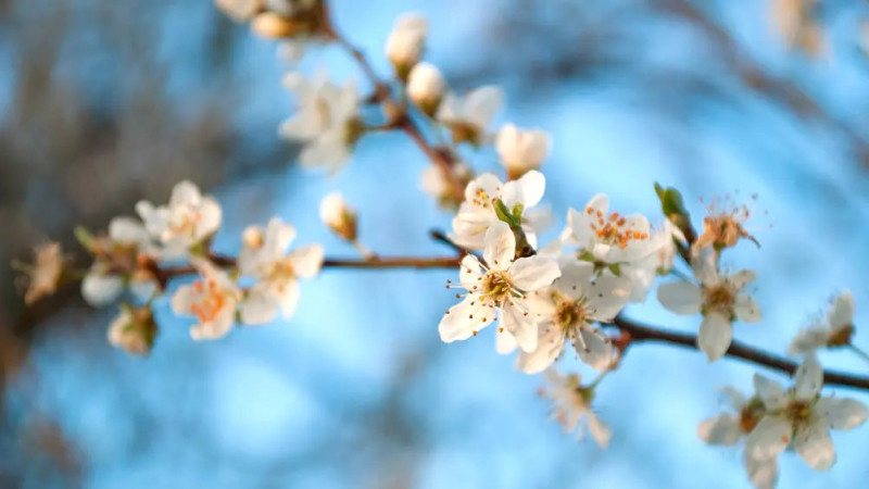 ©️ Depositphotos.com