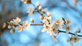 Heat up to +37°C and dust storms: Weather in Kazakhstan’s cities on May 8