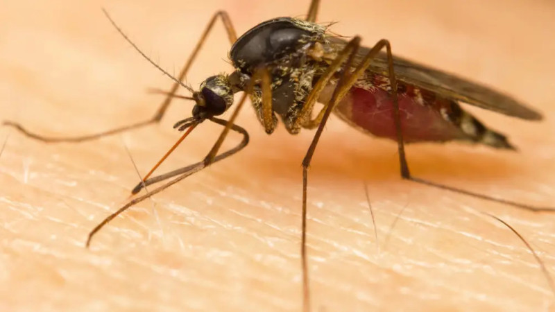 ©️ Depositphotos.com