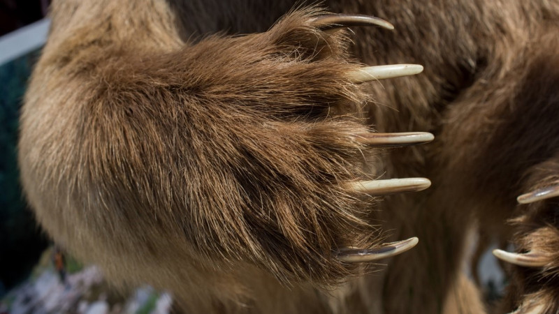 ©️ Depositphotos.com