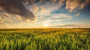 What will the weather be like in Kazakhstan in the summer of 2025