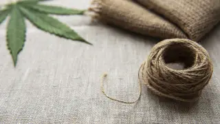 Industrial hemp legalization in Kazakhstan: Agriculture Ministry promises strict control