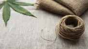 Industrial hemp legalization in Kazakhstan: Agriculture Ministry promises strict control