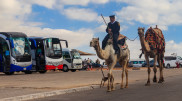 Foreign Ministry responds to reports of Kazakhs detained in Egypt