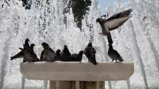 Heat up to +37°C and thunderstorms with hail: Weather forecast for Astana and Almaty