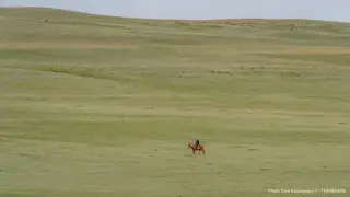 Land worth 219 million tenge returned to state in Kostanay region