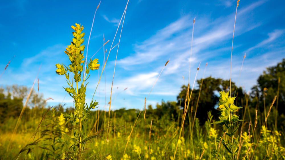 Weather is improving: what to expect in Astana and Almaty in the coming days