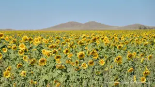 Kazhydromet reports temperature records in Kazakhstan