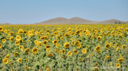 Kazhydromet reports temperature records in Kazakhstan